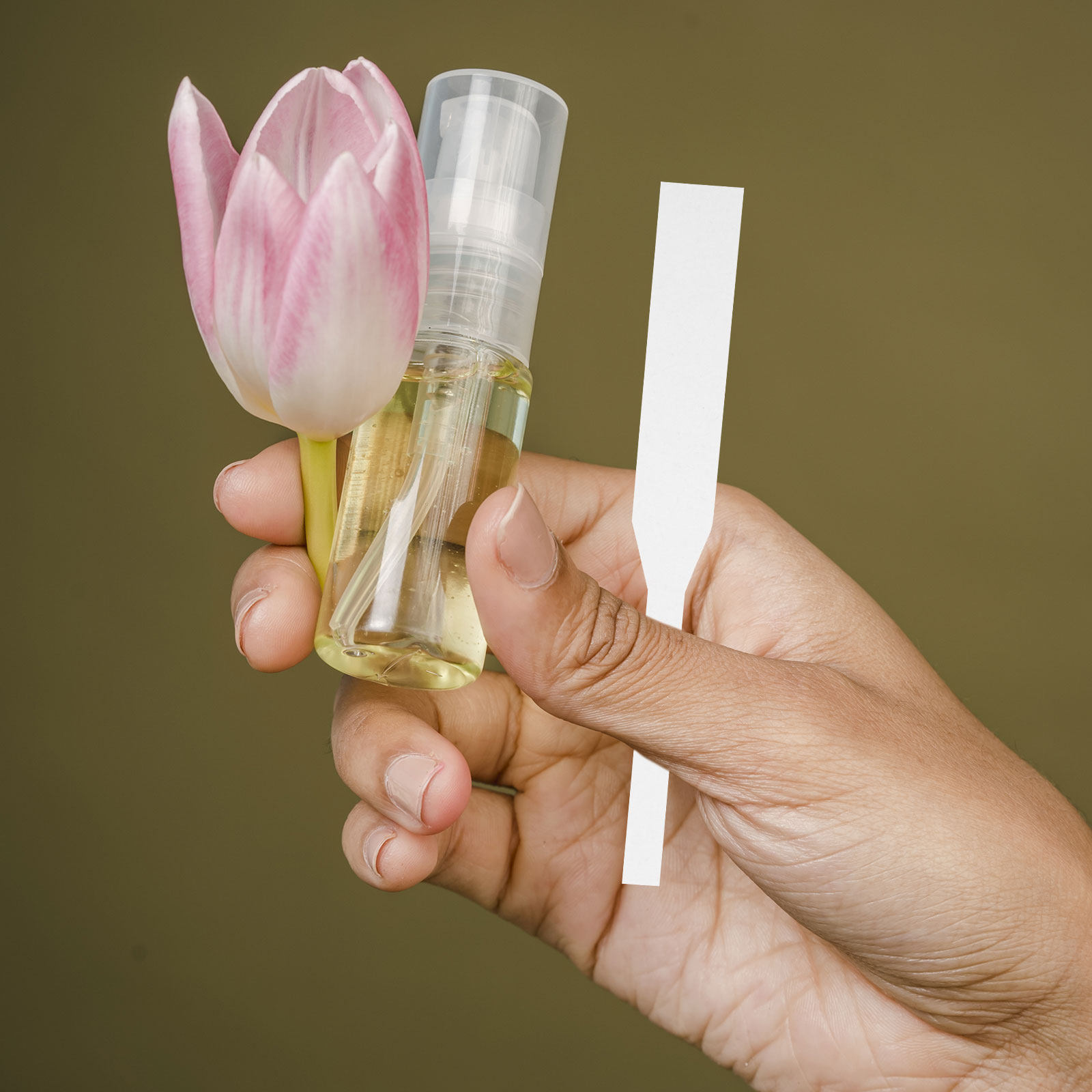 100Pcs Perfume Test Strips Fra - Perfume Fragrance Shop review and price