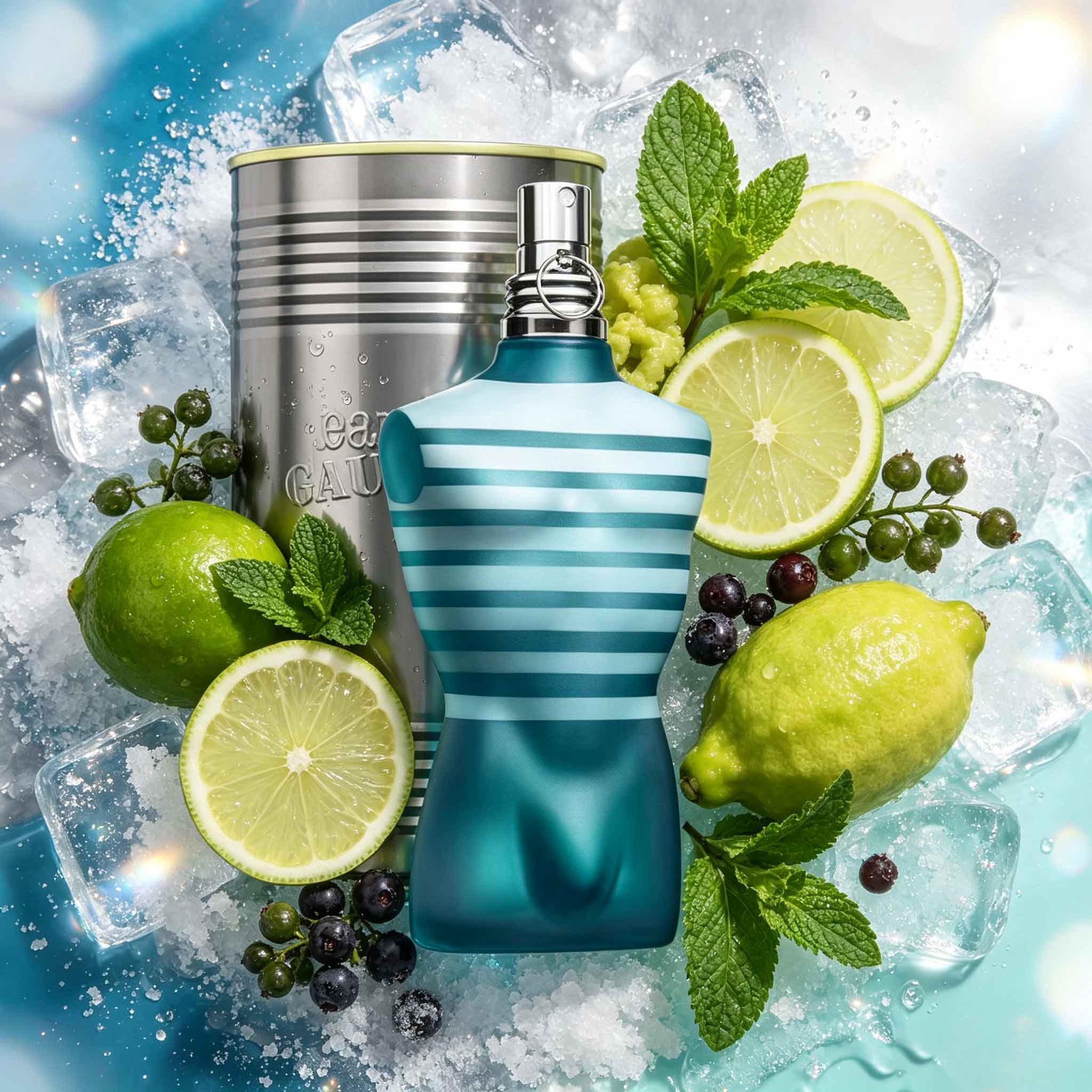 Jean Paul Gaultier Le Male Own - Perfume Fragrance Jean Paul Gaultier Le Male review and price